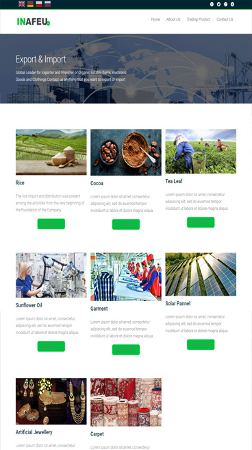 trading website design